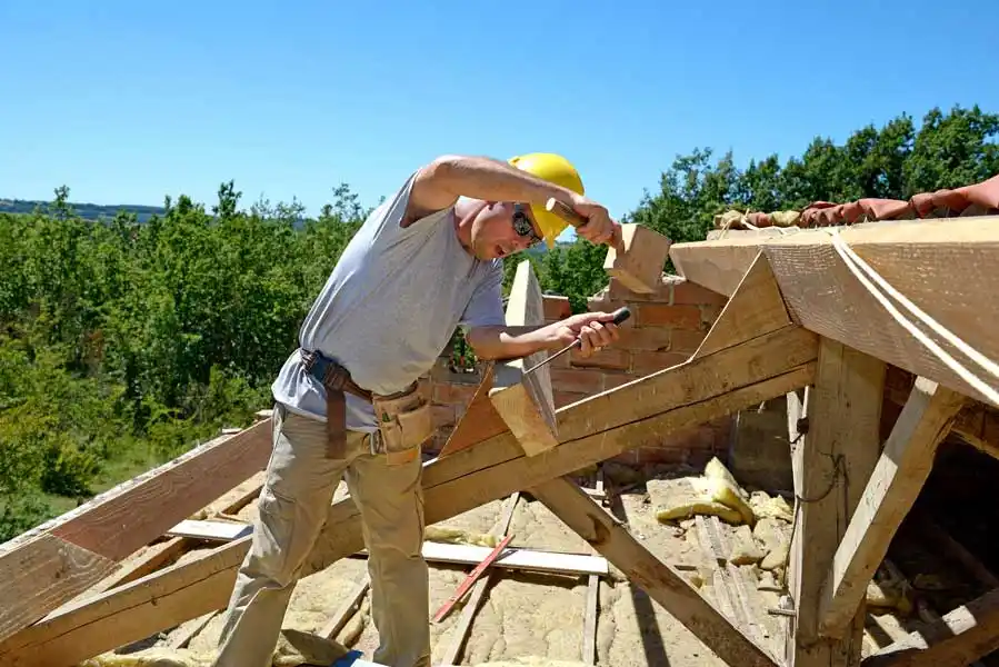 Professional roofing services Professional roofing services