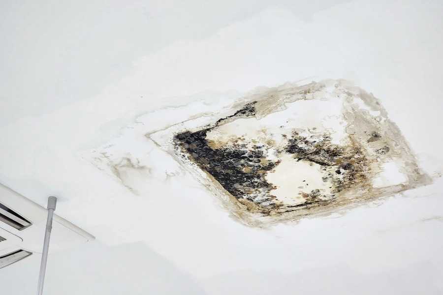 How Roof Leak Repair Extends The Lifespan Of Your Roof Hayward, CA