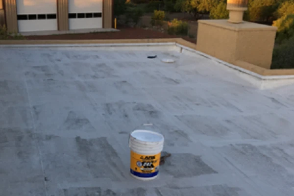 Professional roofing services